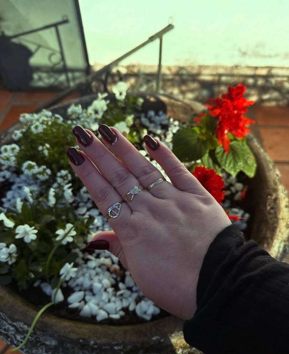 Unhas alongadas em vinho intenso brilhante fotografadas ao ar livre entre flores